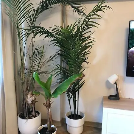 A Peaceful Heaven In The Heart Of Nisantasi Apartamento Istambul